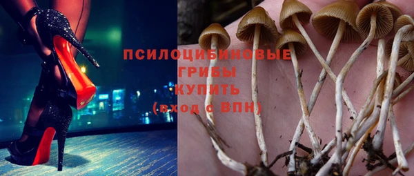 ПСИЛОЦИБИНОВЫЕ ГРИБЫ Волоколамск
